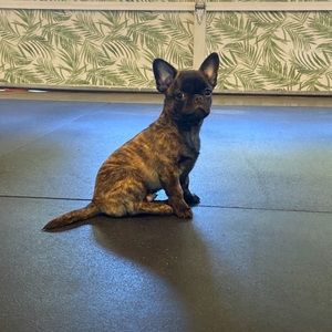 Meet your Posher, Carla